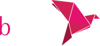 bkash-logo
